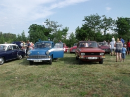 falunap2013_117_20180901